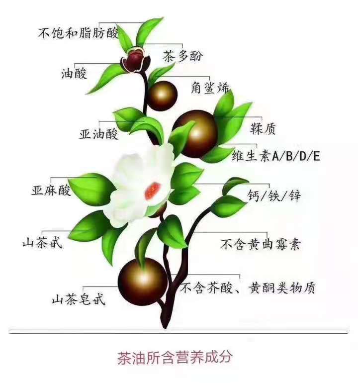 營養成分(fēn)圖.jpg