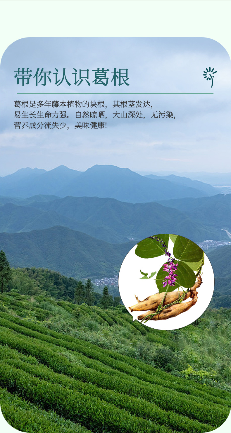 葛根粉條切圖_02.jpg