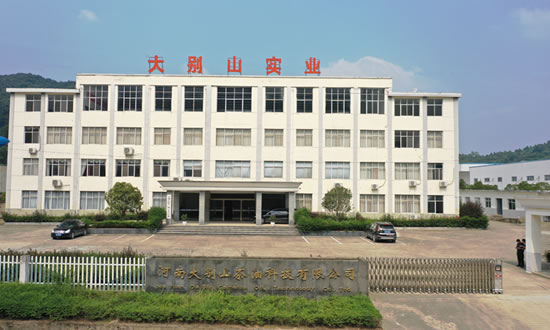 大(dà)别山(shān)茶油辦公樓